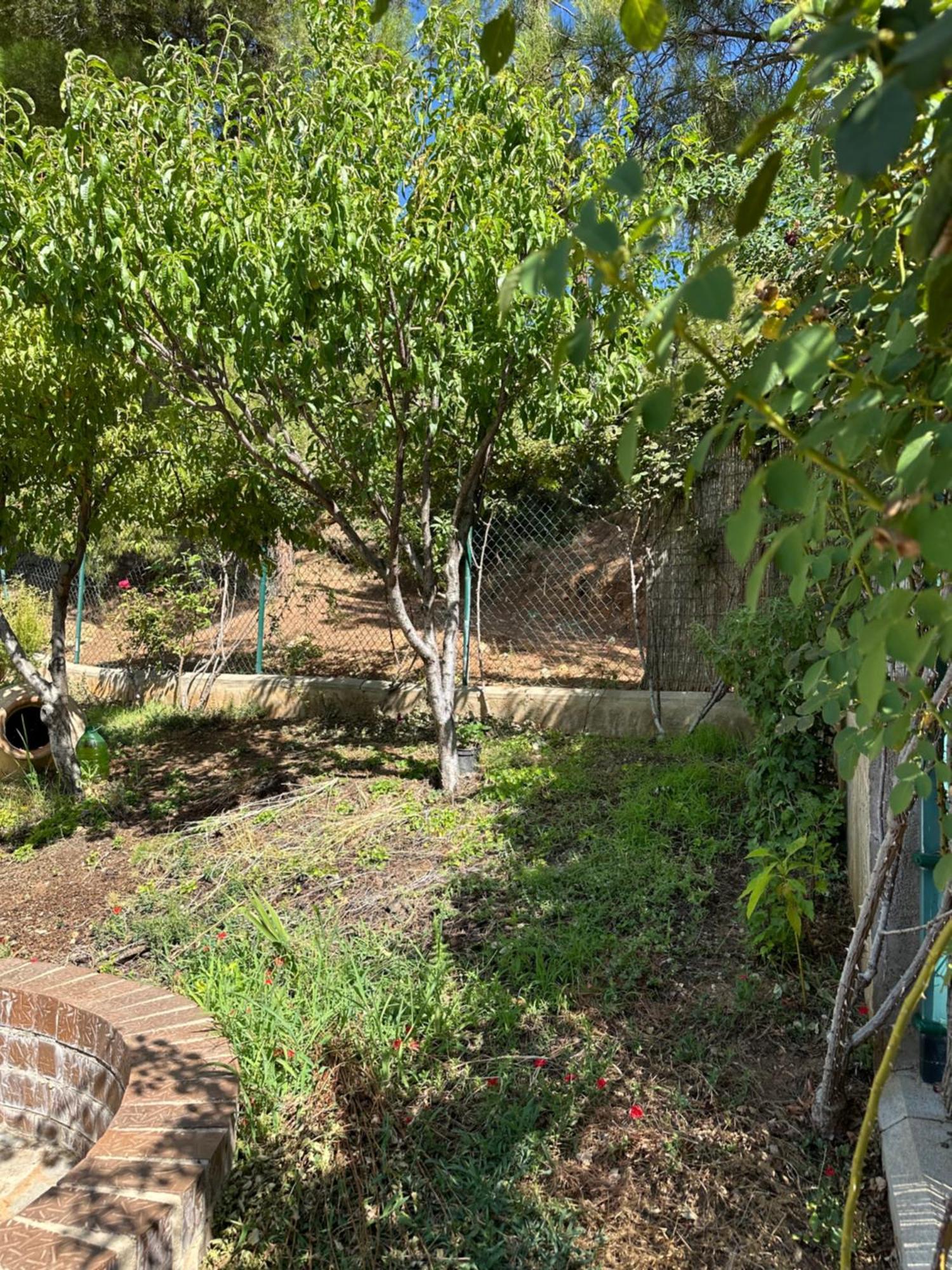 Casas Rurales Cerro Lobo Yeste Buitenkant foto